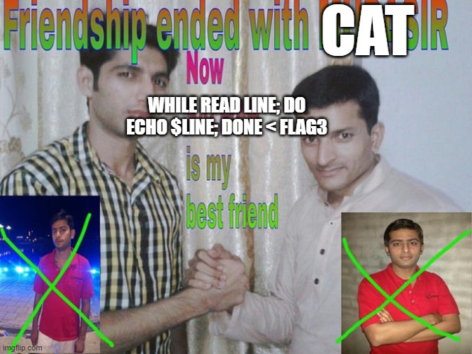 Friendship ended with cat, now bash readline is my best friend